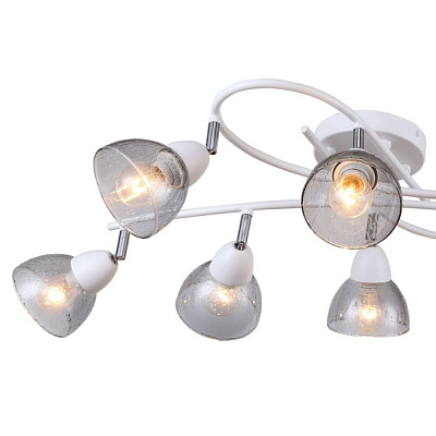 Потолочная люстра F-Promo Rosebud 2350-8U