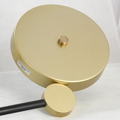 Потолочная светодиодная люстра Lussole Gilbert LSP-8433