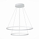Люстра подвесная ST-Luce ST603 IN ST603.543.56