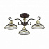 Потолочная люстра Lumion Zerome 3472/3C