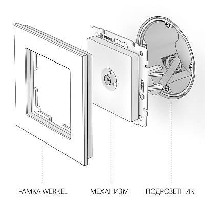 Розетка ТВ оконечная Werkel W1183013 перламутровая a051171