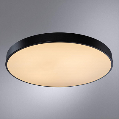 Потолочный светодиодный светильник Arte Lamp Arena A2673PL-1BK