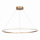 Люстра подвесная ST-Luce ST604 OUT ST604.243.46