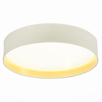 Потолочный светодиодный светильник Evoluce Brescia 452602