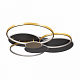 Потолочный светильник Loft It Megan 10163 Black