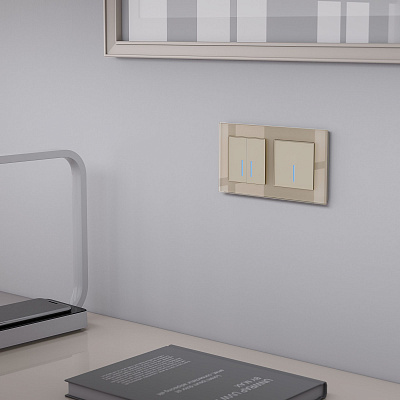 Сенсорный выключатель одноклавишный Werkel шампань a048328