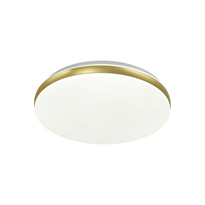 Настенно-потолочный светильник Sonex Ringo 7626/CL