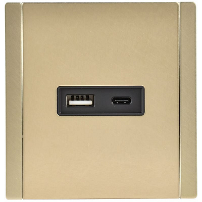 Розетка USB A+C 18Вт IEK FORTE&PIANO FP651M FP-U22-018-M-K37 металл шампань