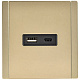 Розетка USB A+C 18Вт IEK FORTE&PIANO FP651M FP-U22-018-M-K37 металл шампань