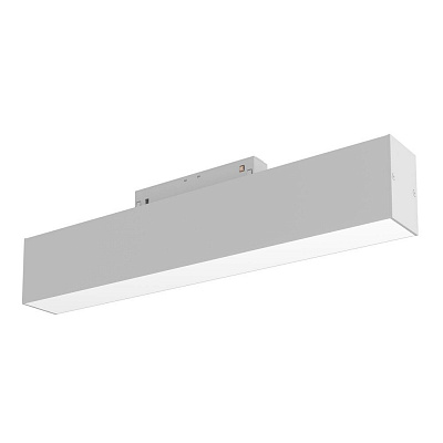 Трековый светильник Maytoni Technical Basis TR012-2-12W4K-W