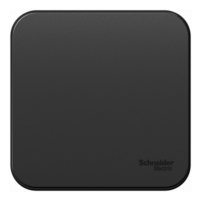 Выключатель одноклавишный SE Blanca антрацит BLNVA101006