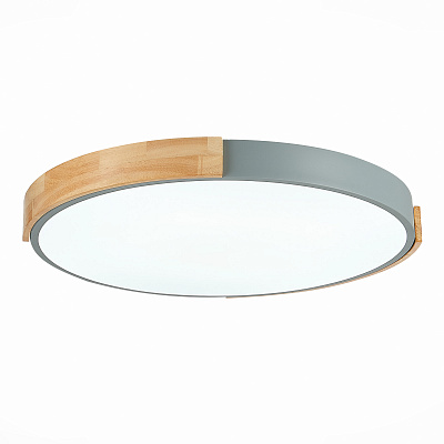 Потолочный светодиодный светильник Evoluce Delia SLE201372-01