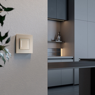 Сенсорный выключатель двухклавишный с Wi-Fi Werkel шампань a064146