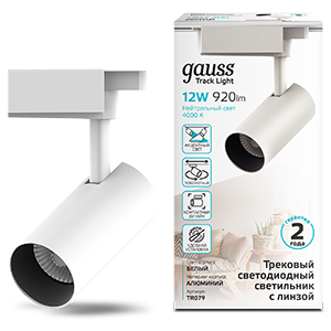 Светильник трековый Gauss 12W 1100lm 4000K 180-220V IP20 LED TR079