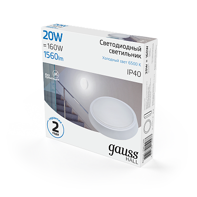 Точечный накладной светильник Gauss HALL 20W 1560lm 6500K 200-240V IP40 LED 193411320
