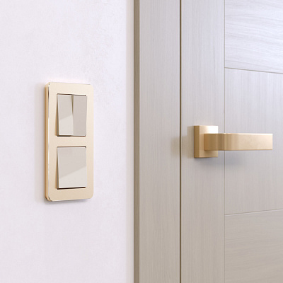 Рамка для розетки на 2 поста Werkel Platinum W0022611 шампань a059214