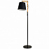 Торшер Arte Lamp Pinoccio A5700PN-1BK