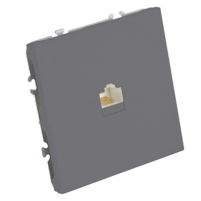 Розетка компьютерная 1-местная RJ-45 (механизм), STEKKER Эмили, RST00-5117-10, платиново-серый, soft touch