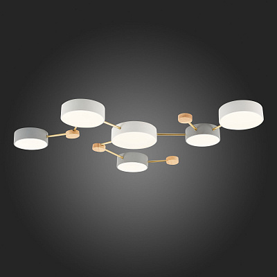 Потолочный светодиодный светильник Evoluce Dossena SLE600102-06