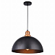 Подвесной светильник Arte Lamp Eurica A4249SP-1BK
