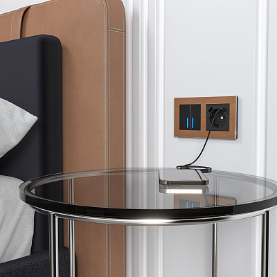 Розетка с заземлением и USB Werkel черный a056275