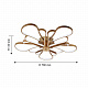 Потолочный светодиодный светильник F-Promo Bluten 2548-5U