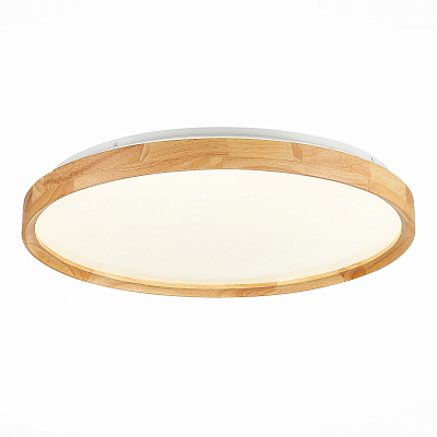 Потолочный светодиодный светильник Evoluce Delia SLE201382-01