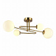 Потолочная люстра Evoluce Fantini SLE2211-302-04