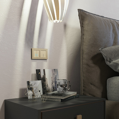 Сенсорный выключатель двухклавишный Werkel шампань a057683