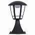 Уличный настенный светильник Arte Lamp Enif A6064FN-1BK