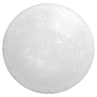 Настенно-потолочный светодиодный светильник Gauss Decor 941428210