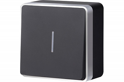 Выключатель одноклавишный с подсветкой черный с серебром Werkel Gallant W5010134 a051152