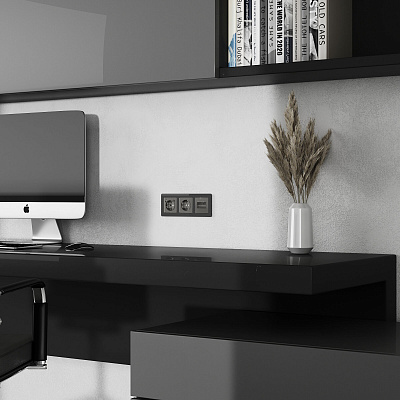 Накладка для двойной розетки RJ-45 Werkel графит акриловый a064099