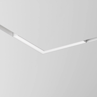 Трековый светильник Maytoni Basis Gravity TR078-2-24W4K-W
