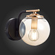 Бра Evoluce Literno SLE106901-01