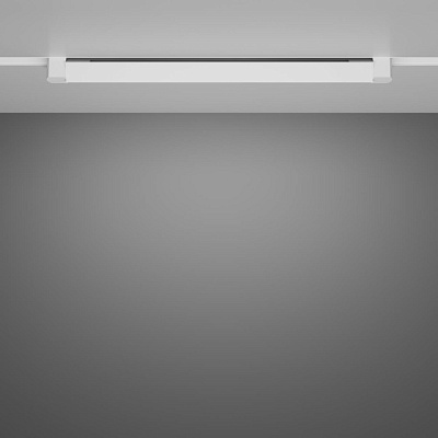 Трековый светильник Maytoni Basis Unity TR104-1-20W4K-W