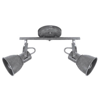 Спот Arte Lamp A1677PL-2GY