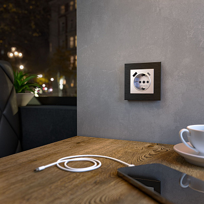 Розетка с заземлением и USB Werkel серебряные a056274