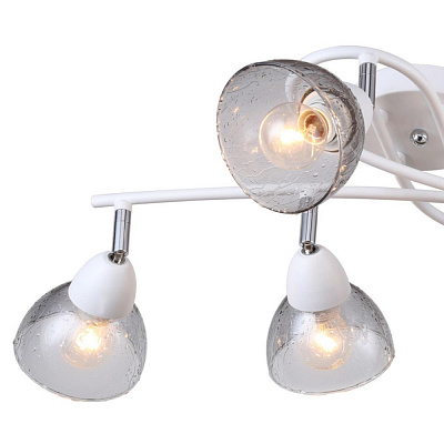 Потолочная люстра F-Promo Rosebud 2350-6U