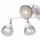 Потолочная люстра F-Promo Rosebud 2350-6U