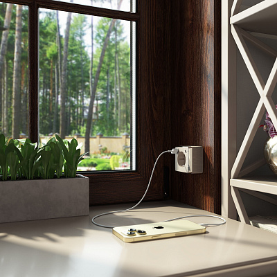 Розетка с заземлением и USB Werkel Gallant шампань рифленый a057703