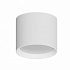 Накладной светильник Arte Lamp Intercrus A5548PL-1WH