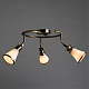Спот Arte Lamp 81 A9231PL-3AB