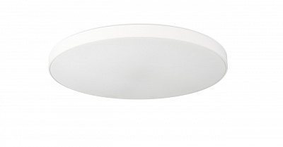 Потолочный светильник Simple Story 1204-LED48CL