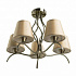 Потолочная люстра Arte Lamp 60 A6569PL-5AB