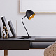 Настольная лампа TK Lighting 5036 Soho Black a059621