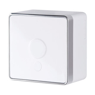 Вывод кабеля белый Werkel Gallant WL15-16-01 209933