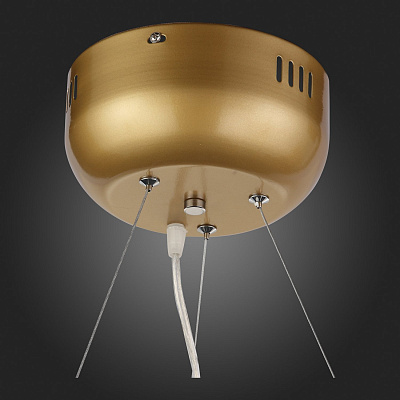 Подвесная люстра ST Luce Riccardo SL411.233.45