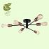 Потолочная люстра Lussole Lgo Huron GRLSP-8200