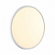 Настенно-потолочный светодиодный светильник Sonex Alfa White 7659/32L